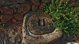 Dammuso - Pantelleria - Il silenzio del bosco - Coste Ghirlanda