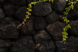 Dammuso dell'amore - Pantelleria - Coste Ghirlanda