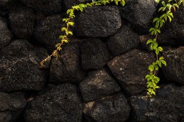 Dammuso dell'amore - Pantelleria - Coste Ghirlanda