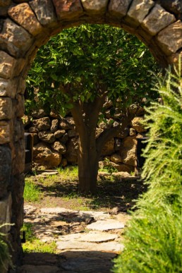 Aranci - Pantelleria - Coste Ghirlanda