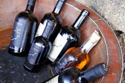 Wine Shop - Coste Ghirlanda - Pantelleria